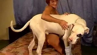 Addicted zoophile with red hair and fancy tattoos sucks her dogs cock