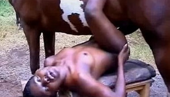 Black girl gets fucked in the pussy by a horse in street bestiality