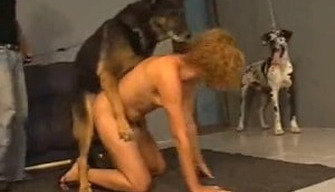 Krullend chick met een skinny lichaam krijgt fucked hard door duitse dog