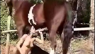 Blowjob for a horse in the sun