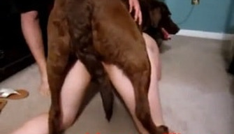 Horny dog fucks white pussy of zoophile wife