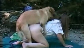 Lustful golden-haired girl gets fucked by a dog outdoors