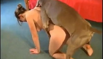 Inexperienced girl holds dog cock in pussy