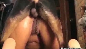 Bronceada mujer trata de sexo amateur con un perro en un depravado escena