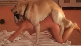 Dog cums in hot blonde pussy after domestic bestiality